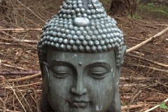 Buddha in Forest - Caycuse