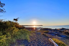 Madrona-Beach-yellows-and-blues