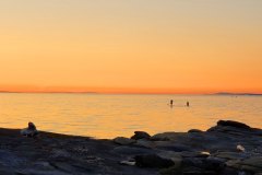 Paddleboarders-at-Sunset