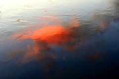 Sunset-Reflection-Clouds-on-Water-Cowichan-River-12